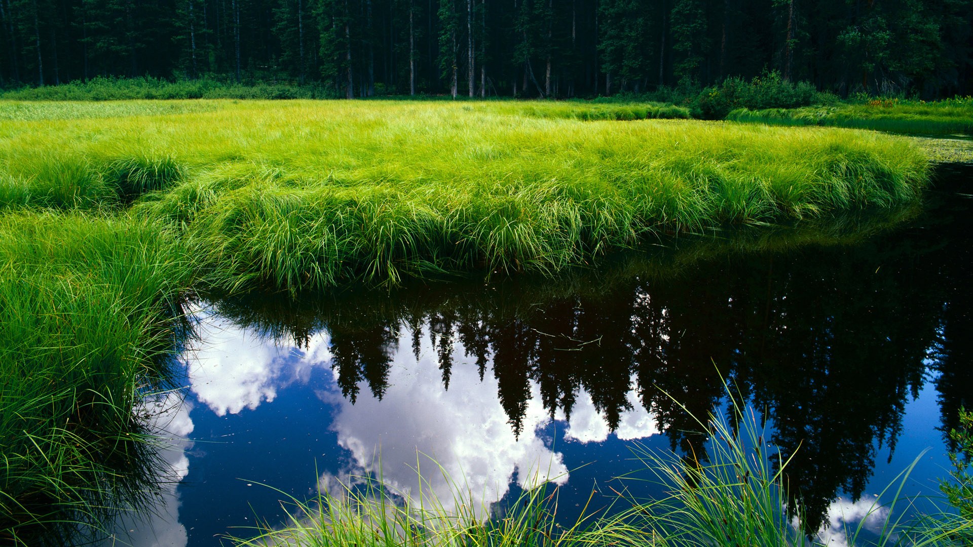 中国篮球教练员战术创新案例及实战应用研究,2021中国篮球教练员培训