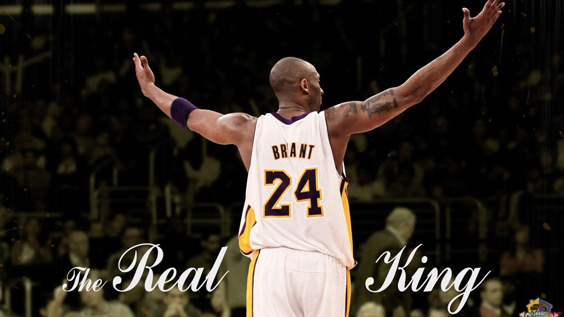 体育教育与职业发展结合,培养更多业界人才,体育教育对职业院校的意义